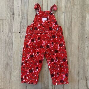 Oshkosh B’gosh vintage corduroy winter floral overalls